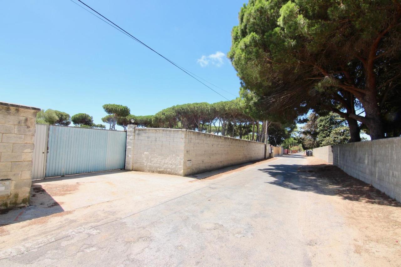 Villa Olivos 1D à Chiclana de la Frontera Extérieur photo